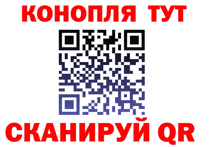 Где купить наркотики? это Telegram Каргат