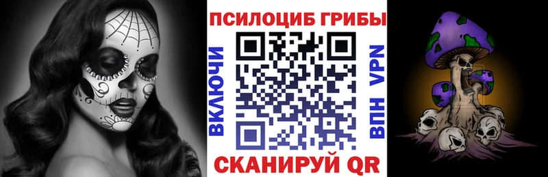 кракен вход  Каргат  Галлюциногенные грибы Psilocybine cubensis 